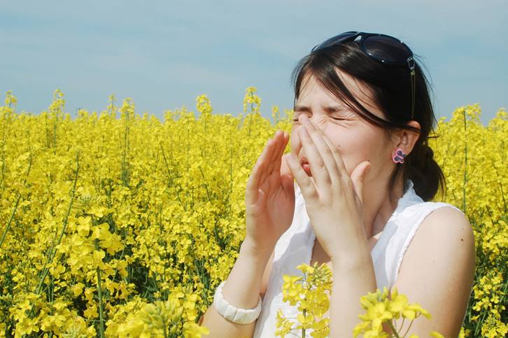 Allergic to Flowers? Here are some Flowers You Should Avoid (and Some that are Hypoallergenic!)