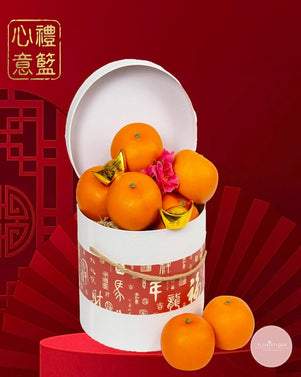 Wishful Oranges 心想事橙 CNY